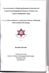 Thesis