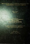 Thesis