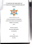 Thesis