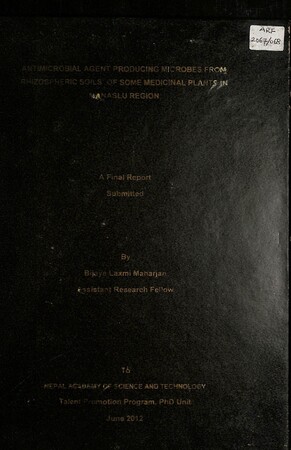 Full screen preview
