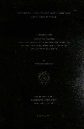 Full screen preview